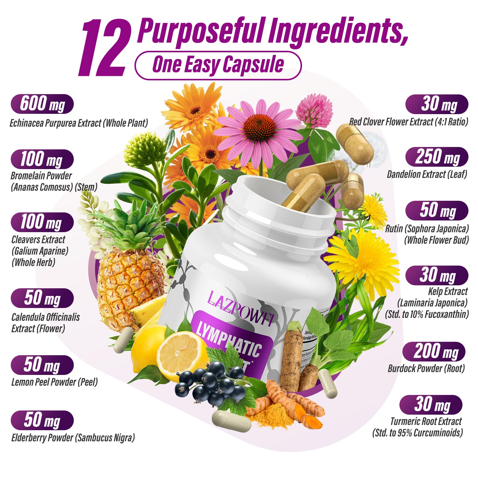 Close-up of 600mg Echinacea Purpurea extract in the formula