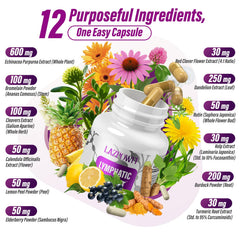 Close-up of 600mg Echinacea Purpurea extract in the formula