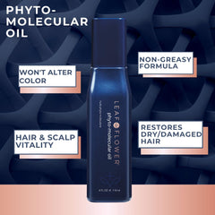 Hair styled with subtle shine after using Phyto-Molecular Oil