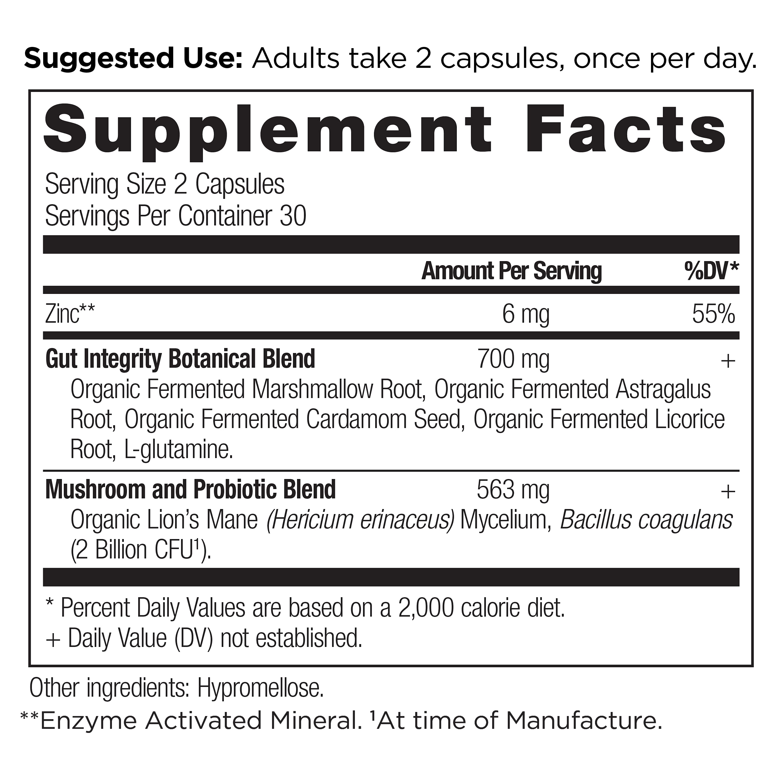 Container of Leaky Gut Capsules 60 count