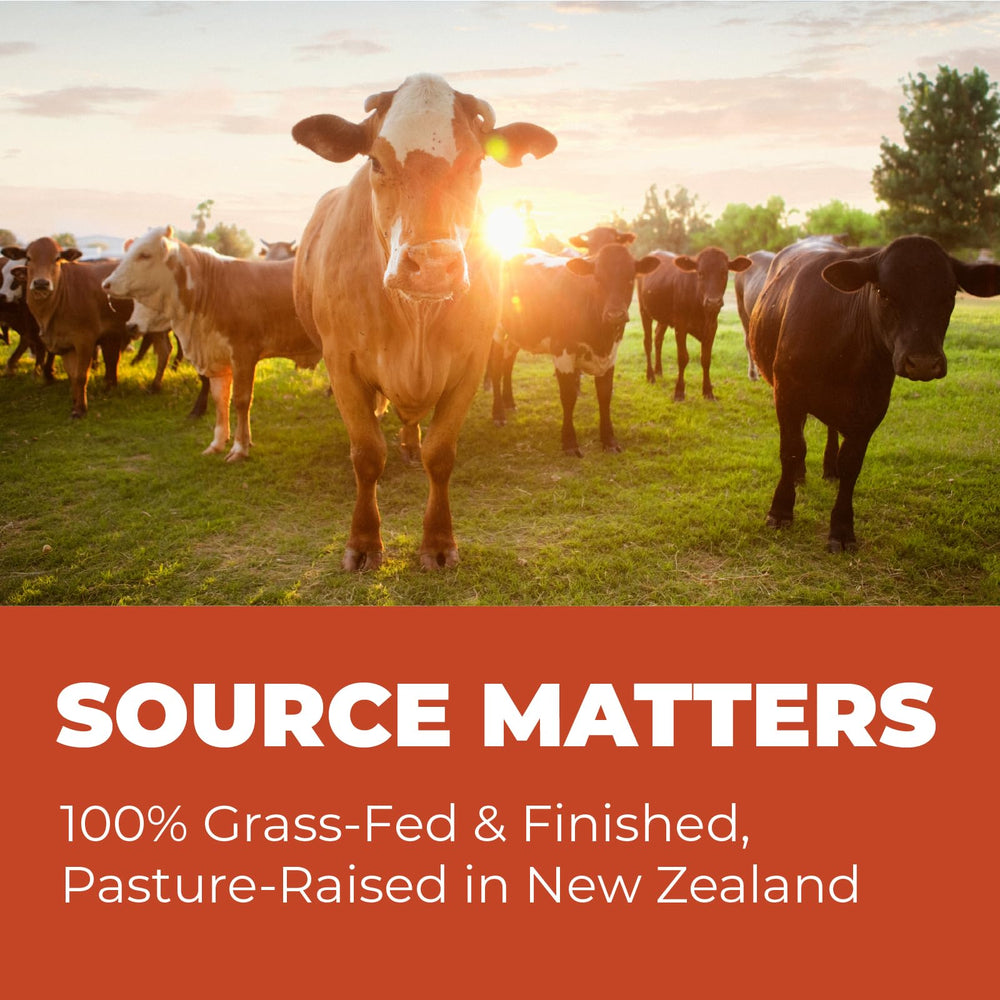 Pasture-raised New Zealand beef source