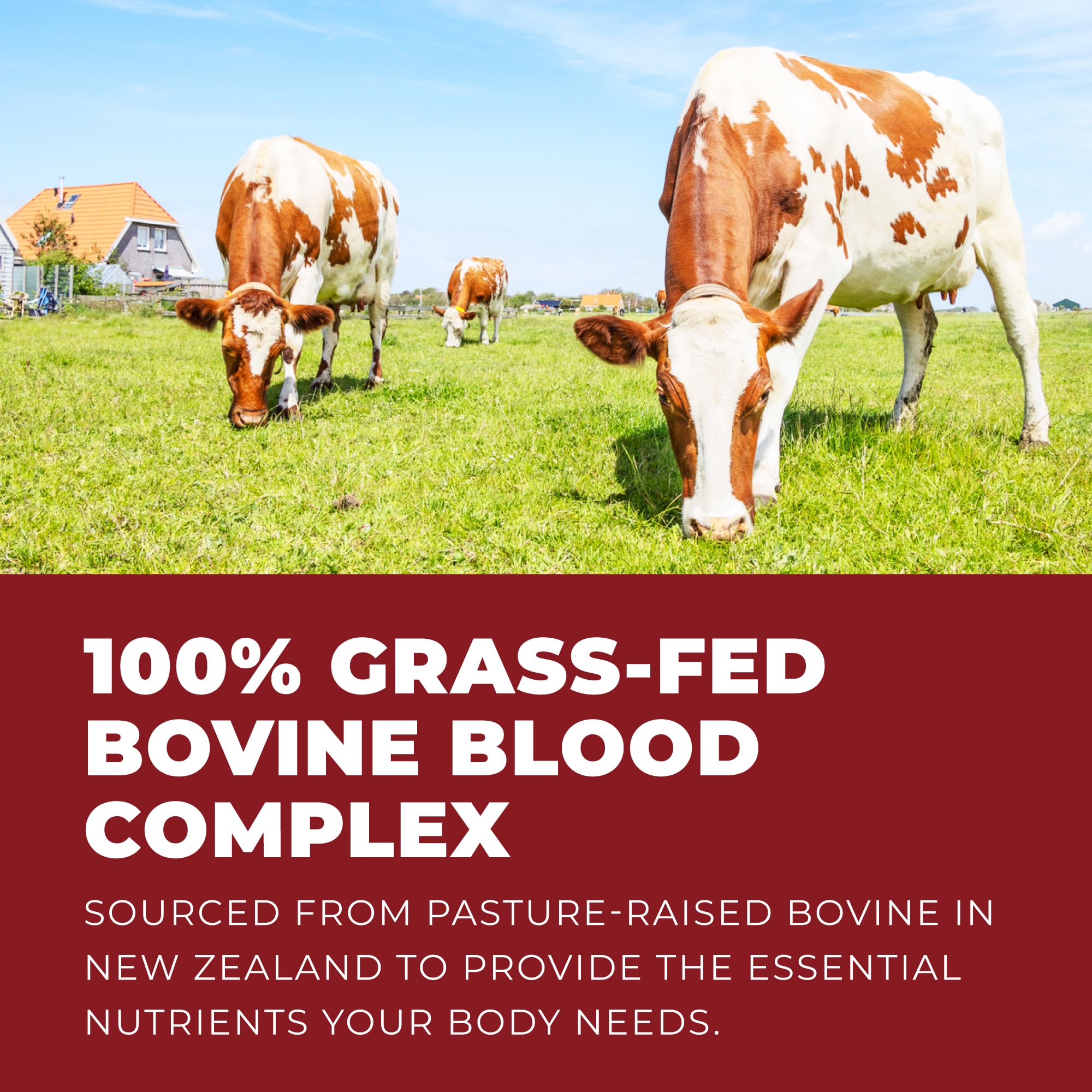 Third-party lab tested bovine blood and liver supplement
