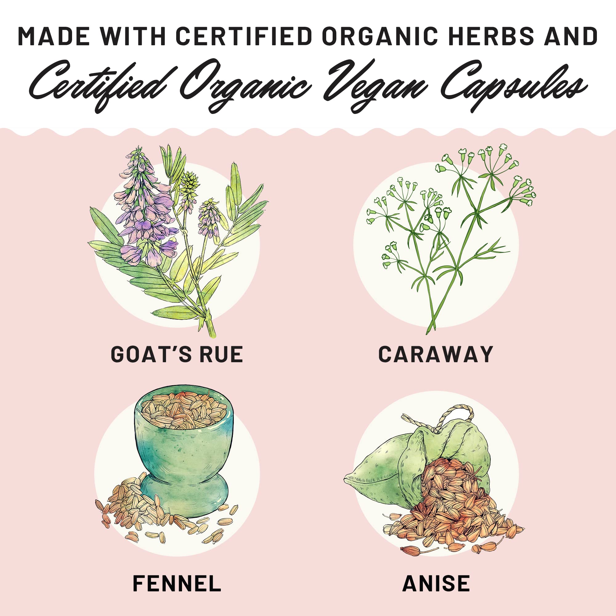 Ingredient highlights: fennel, anise, and caraway