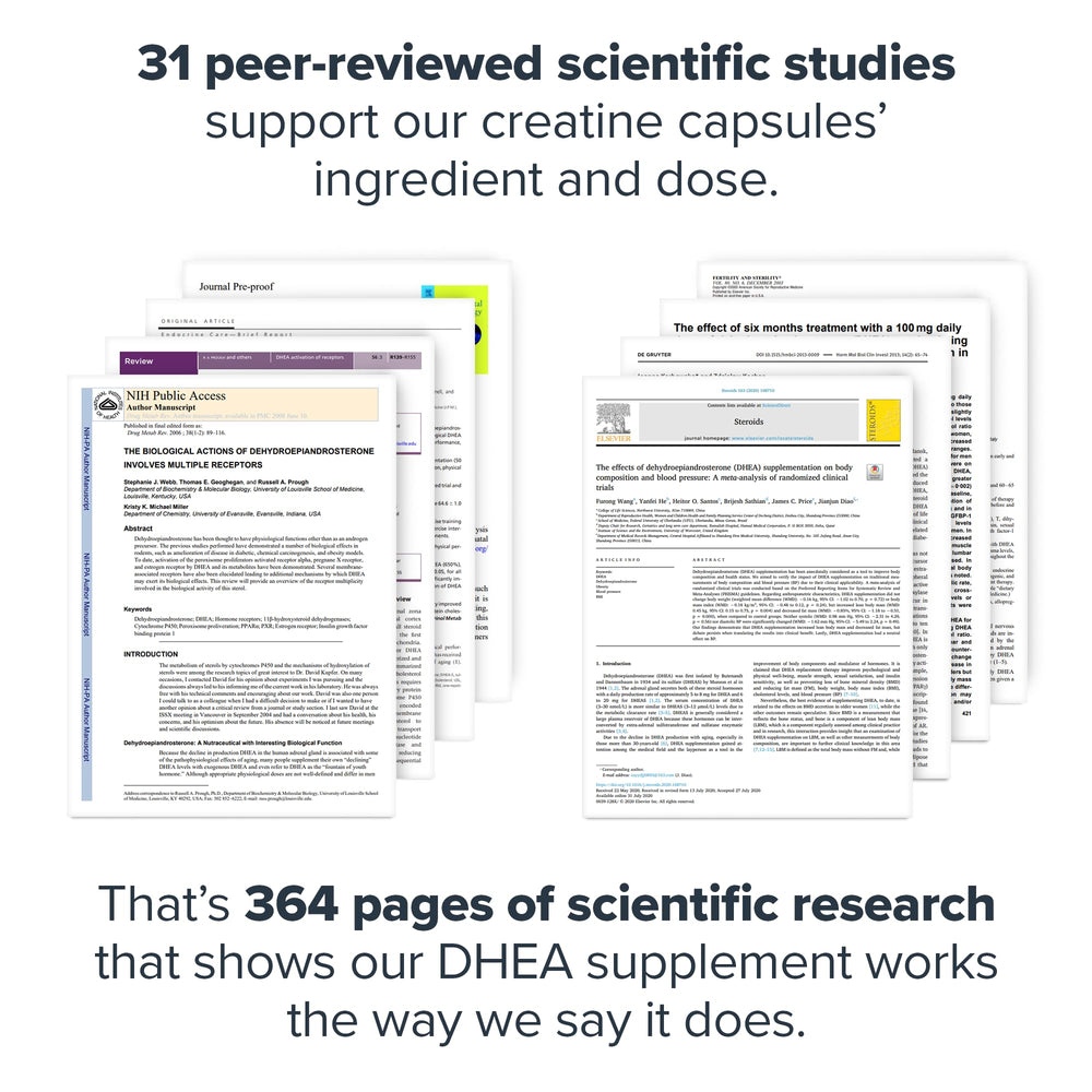 Immune health concept with DHEA 50mg supplement