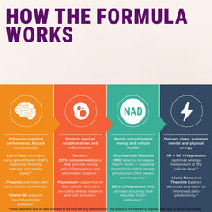 Energy and brain health LEGRANO supplement image