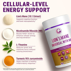 Zinc and Turmeric powder with 95% curcuminoids