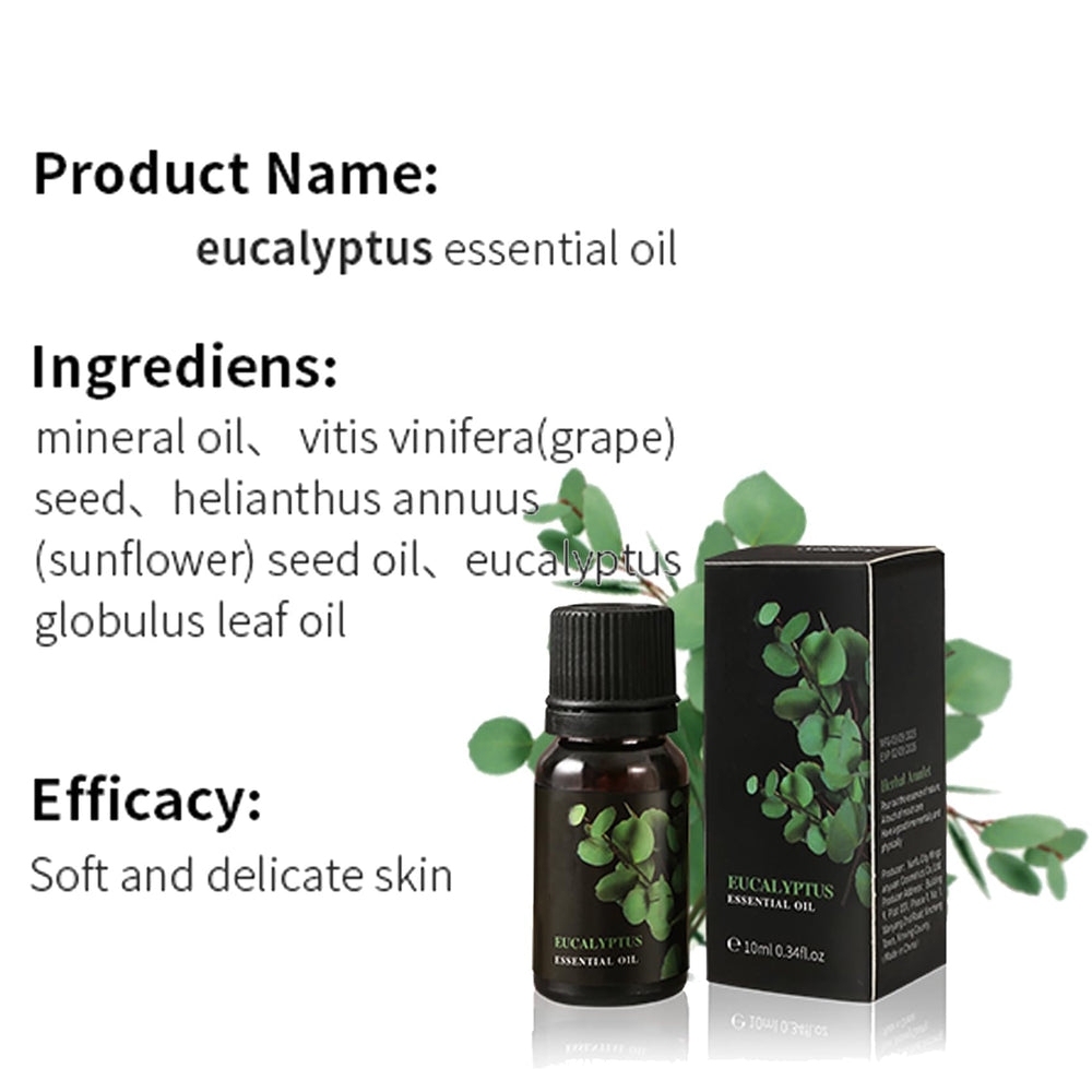 LEHOYIANG eucalyptus-diffuser-aromatherapy-scene promotes fresh air and mood support