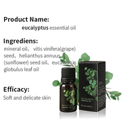 LEHOYIANG eucalyptus-diffuser-aromatherapy-scene promotes fresh air and mood support