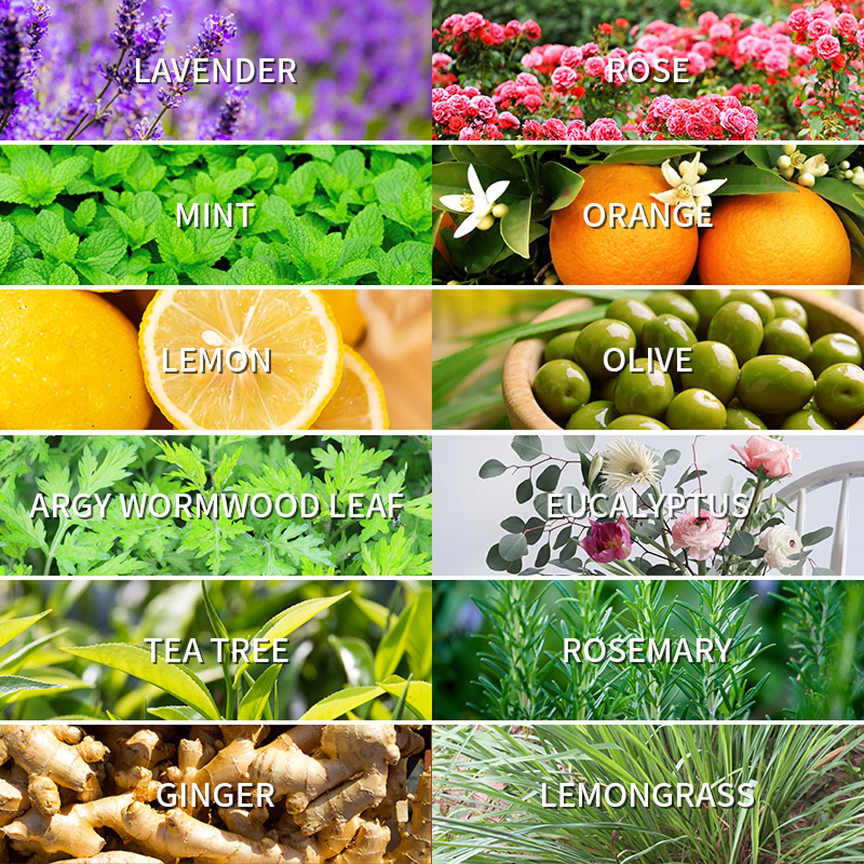 LEHOYIANG eucalyptus-reed-diffuser-blend provides steady aroma diffusion for cozy rooms