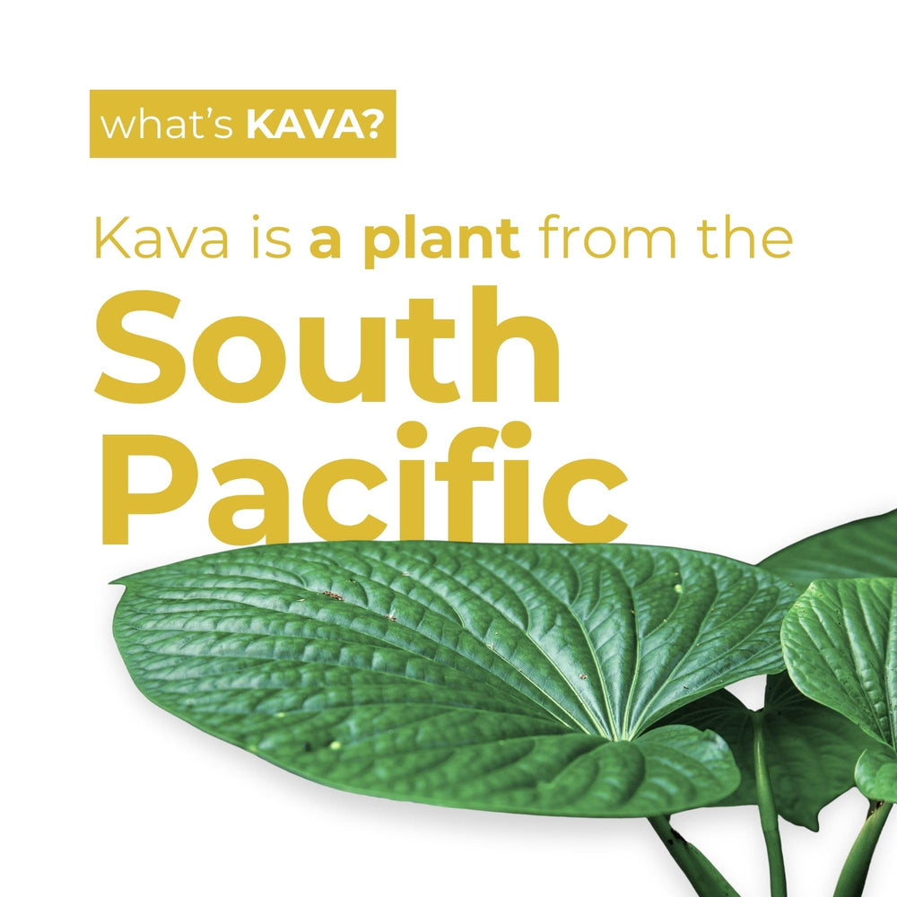 Kava and L-theanine infusion label on LEILO Pina Colada Mocktail