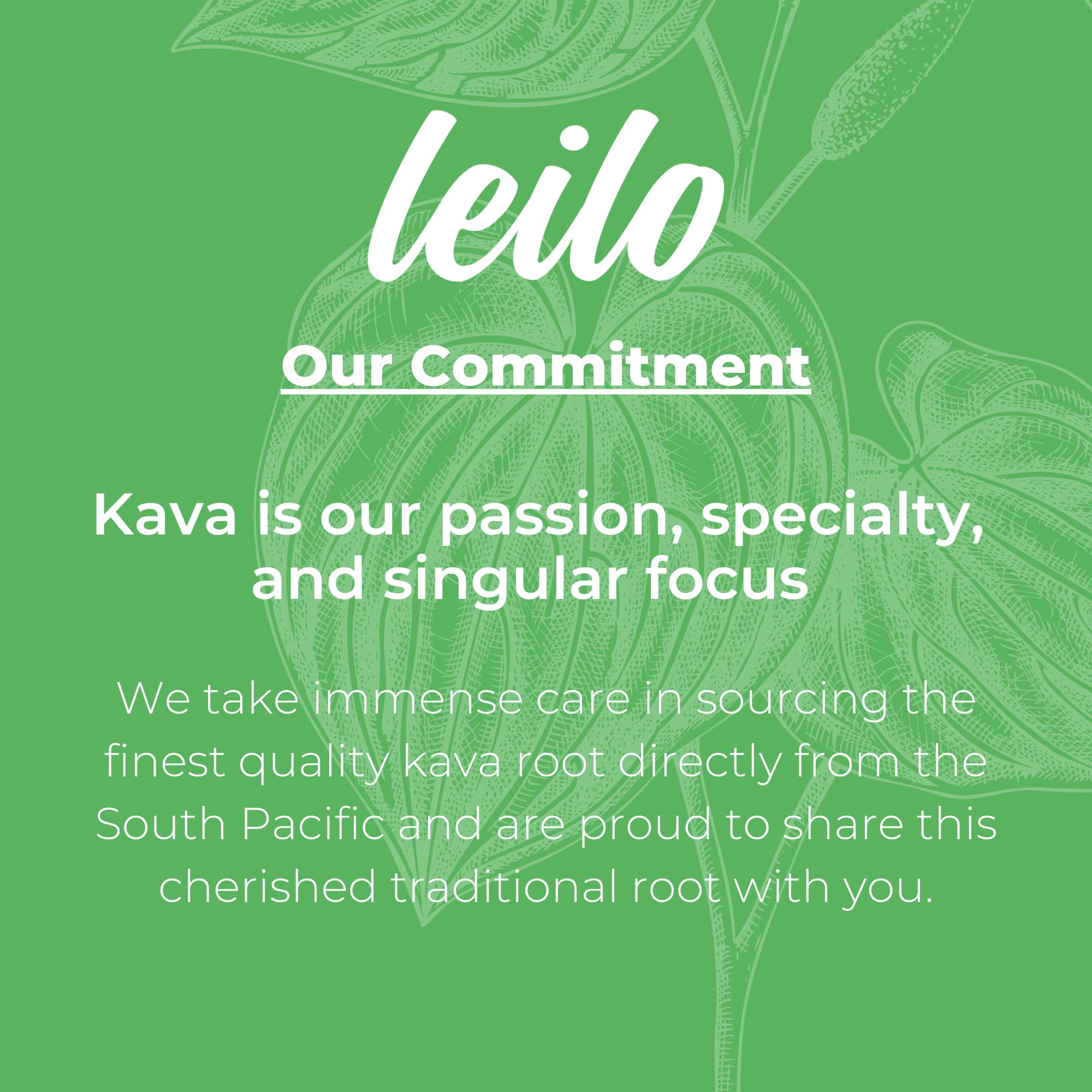 LEILO Ingredients close-up highlighting kava and l-theanine