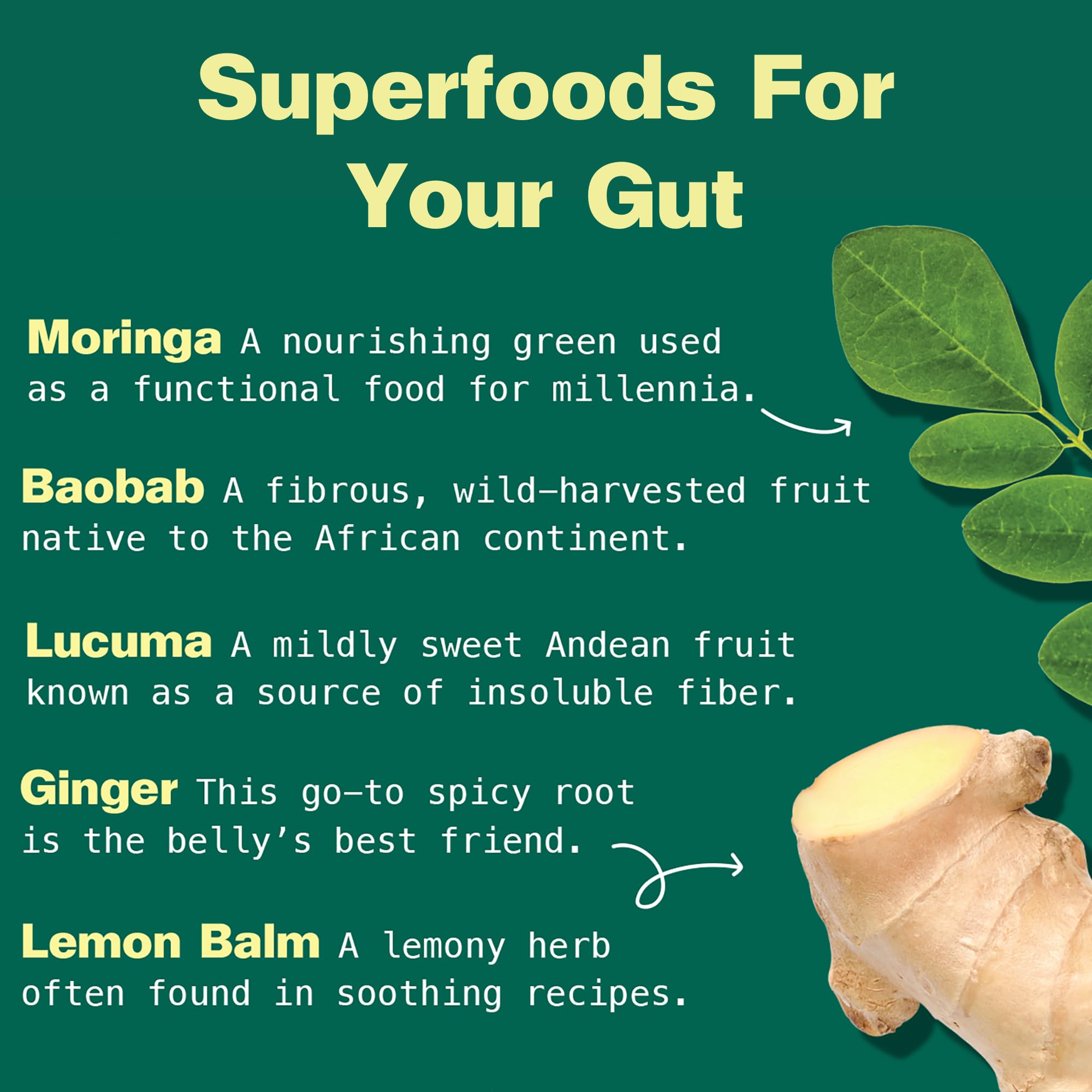 Lemon balm and ginger roots