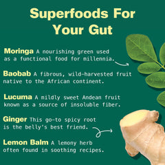 Lemon balm and ginger roots
