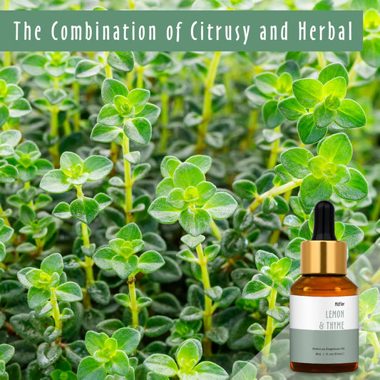 Close-up of Lemon & Thyme fragrance oil bottle label