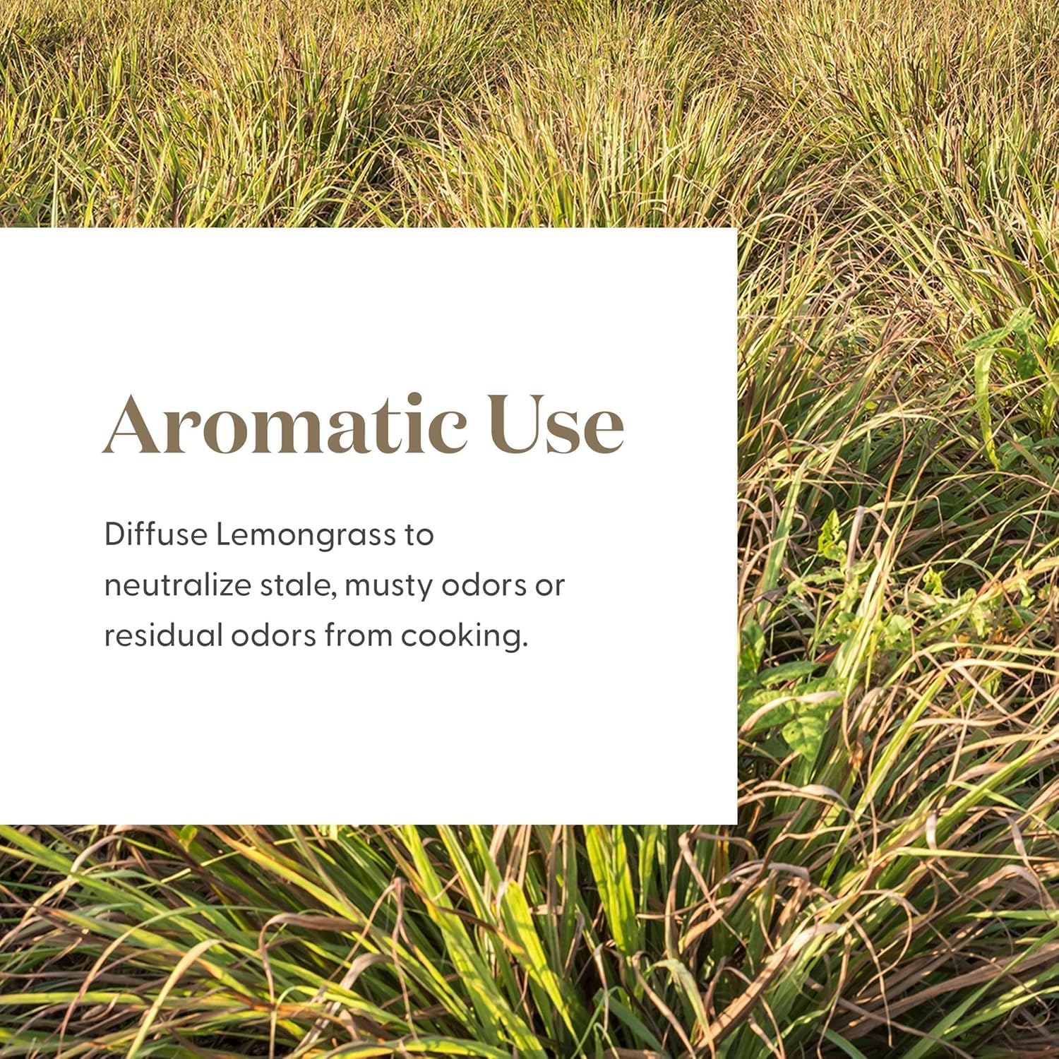 Lemongrass Essential Oil used in a diffuser