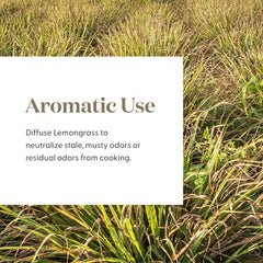 Lemongrass Essential Oil used in a diffuser