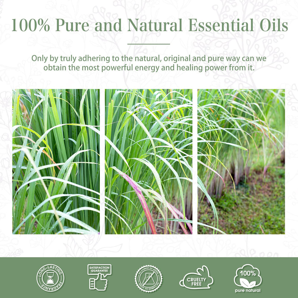 Gift-ready packaging for Lemongrass essential oil