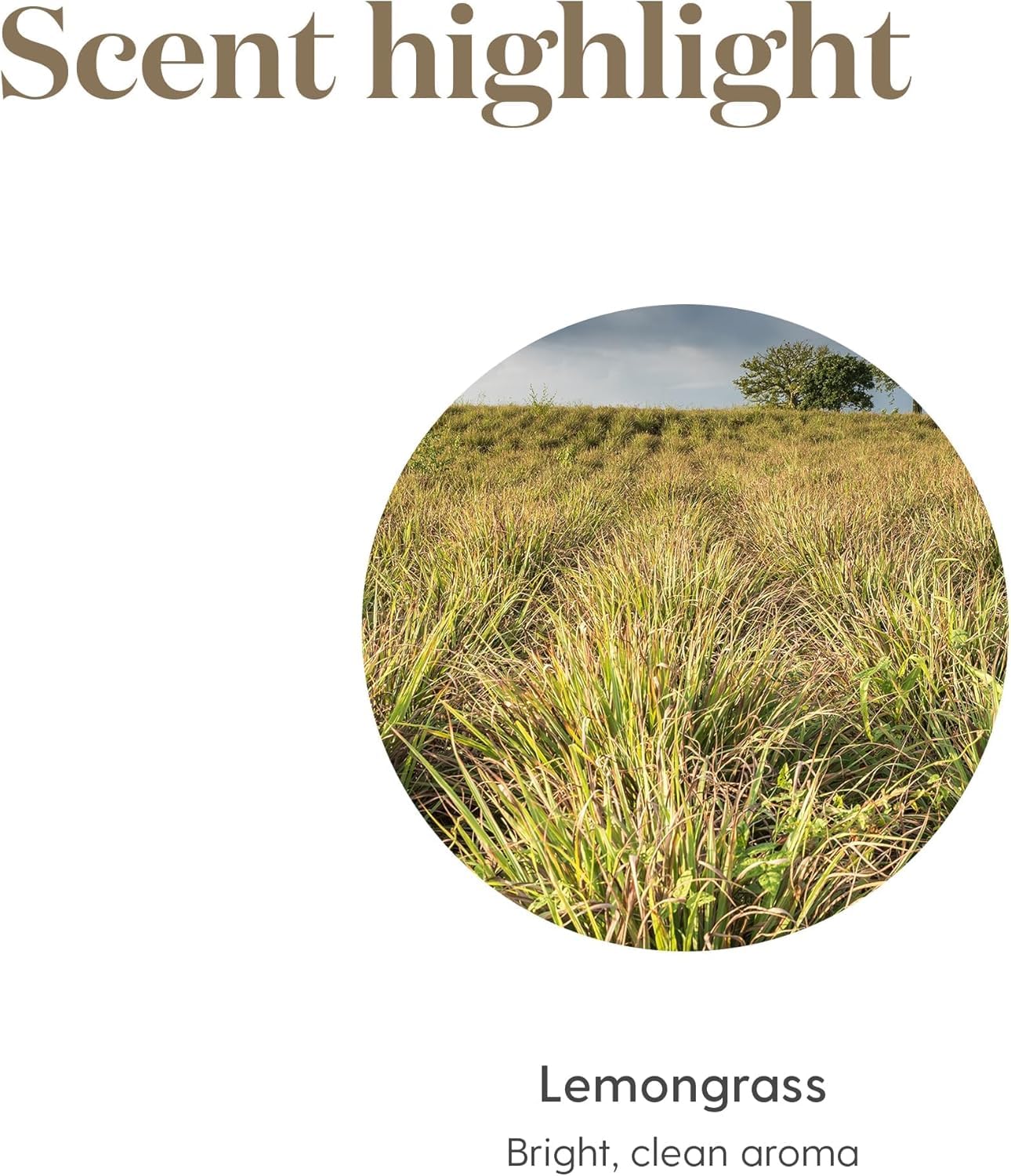 Seed to Seal verified Lemongrass oil organic label