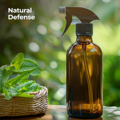 Made in USA bottle of lemongrass essential oil