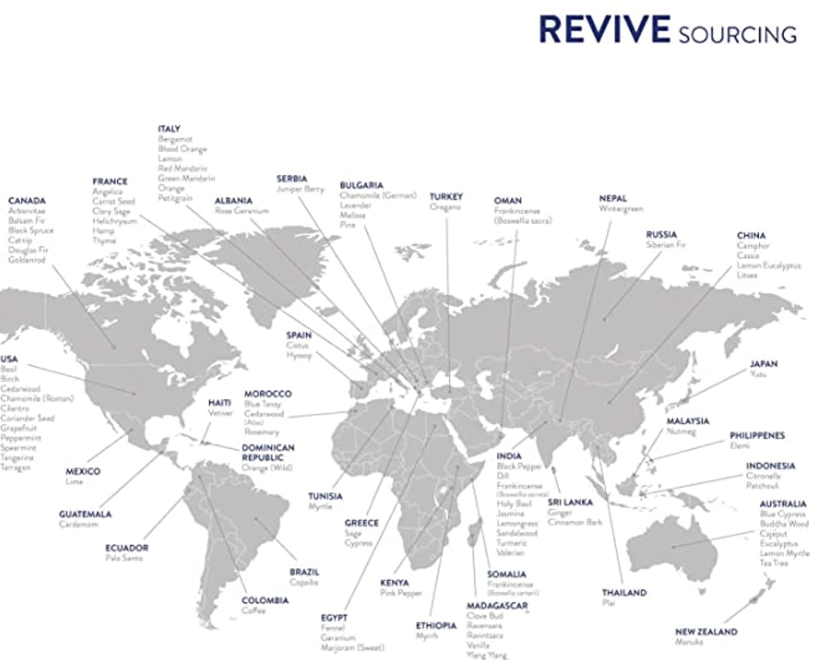 Lemongrass plant and essential oil product display