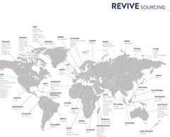 Lemongrass plant and essential oil product display