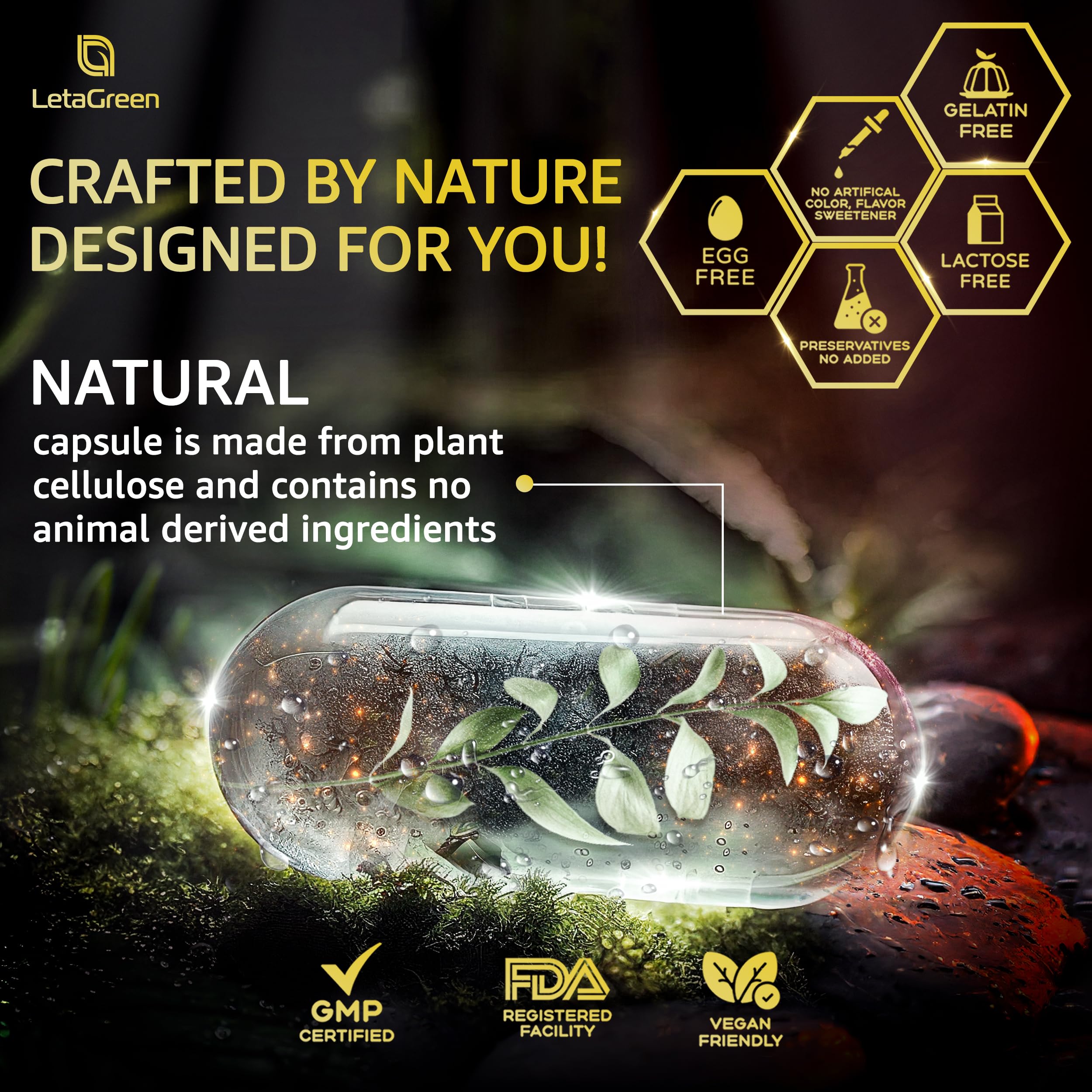 120-count bottle packaging of LetaGreen Shilajit capsules