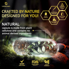 120-count bottle packaging of LetaGreen Shilajit capsules