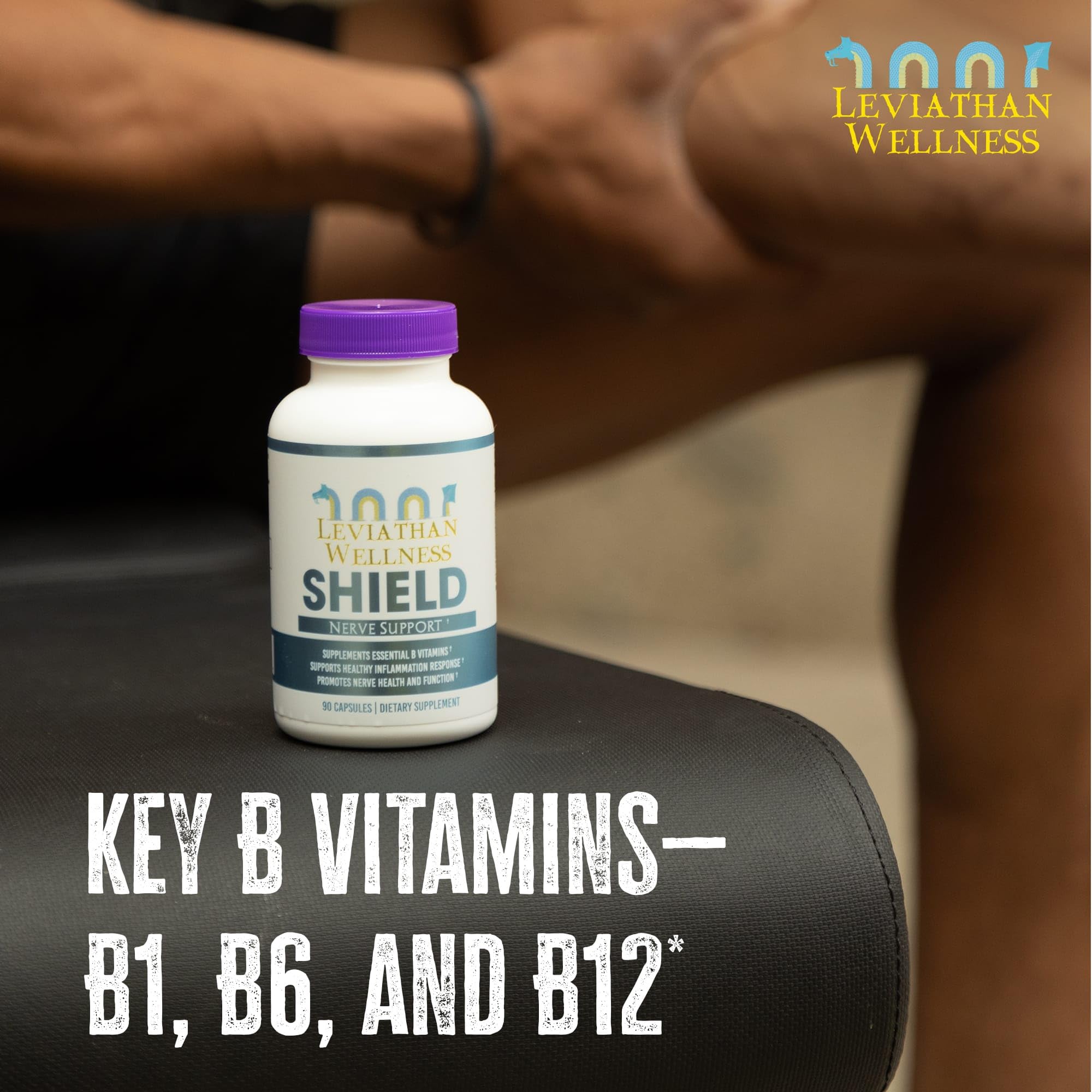 B vitamins graphic for Leviathan formula