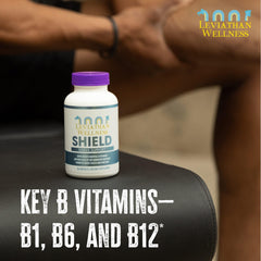 B vitamins graphic for Leviathan formula
