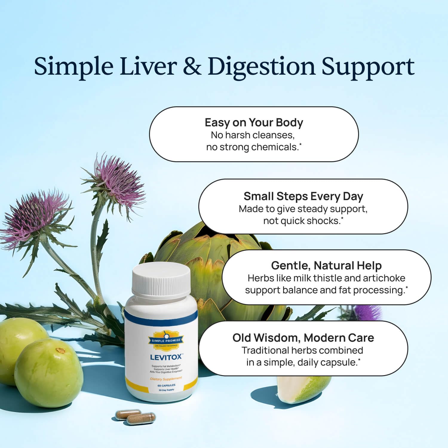 Graphic depicting liver health, metabolism and digestion
