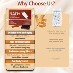 Lexenic NADPlus liquid ingredients showcase resveratrol and precursors.