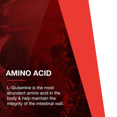 Gut health benefits illustration with L-Glutamine
