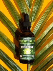 Ethically sourced wild-harvested turkey tail mushroom extract - 1 Fl Oz