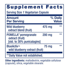 Pomegranate extract illustration emphasizing antioxidants