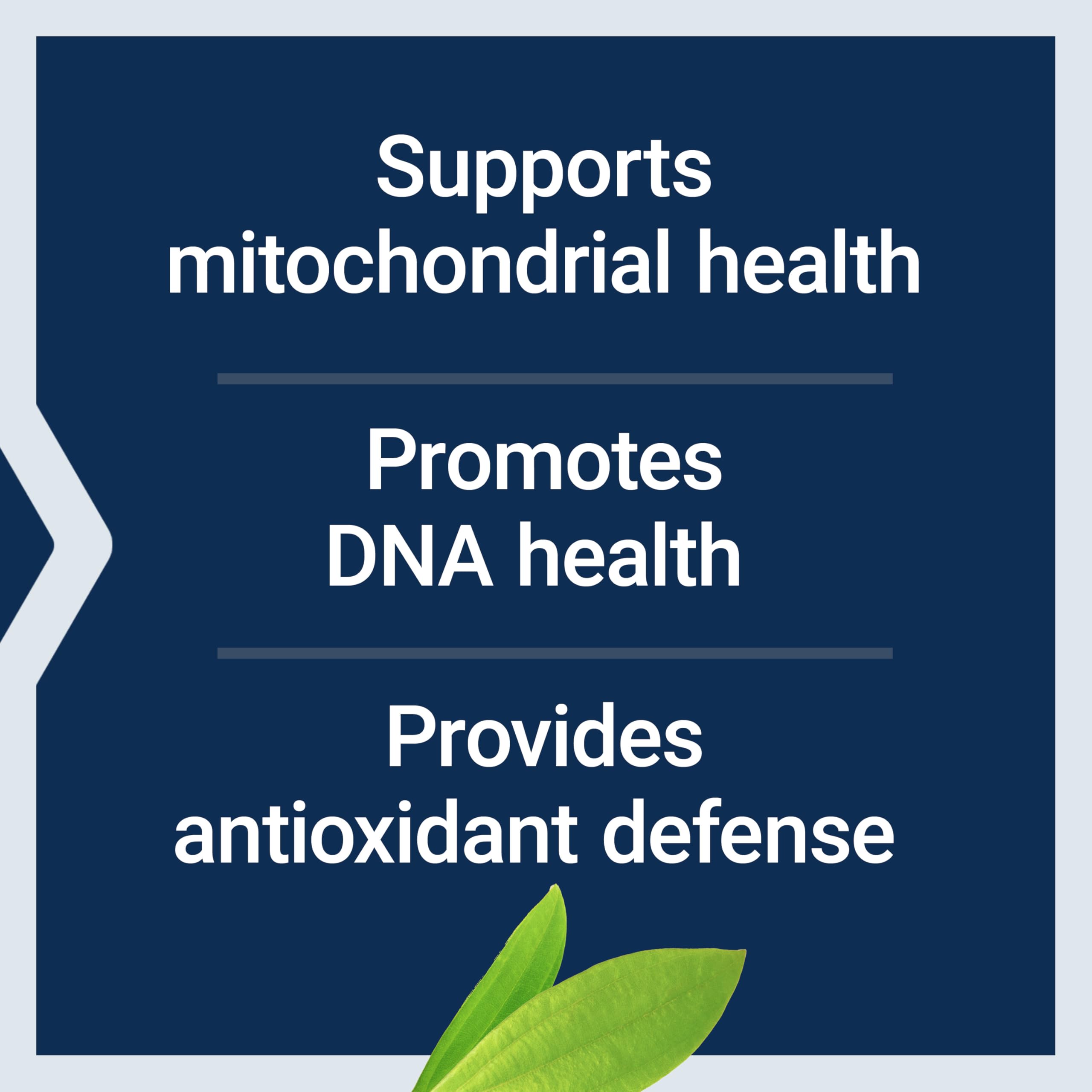 Chlorophyllin antioxidant properties concept