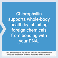 Gluten-free Life Extension Chlorophyllin capsules