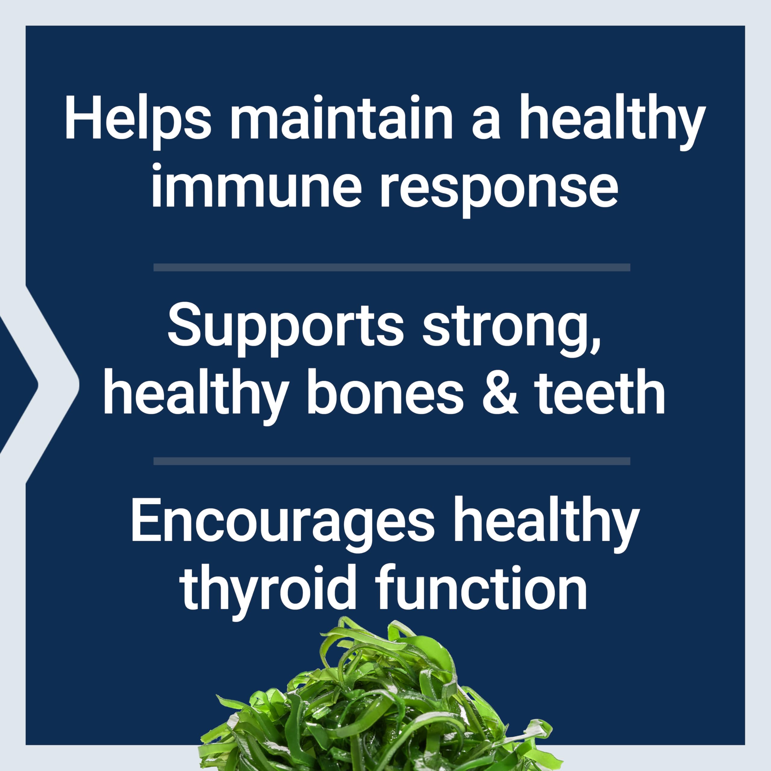 Calcium absorption into bone illustration for health benefits