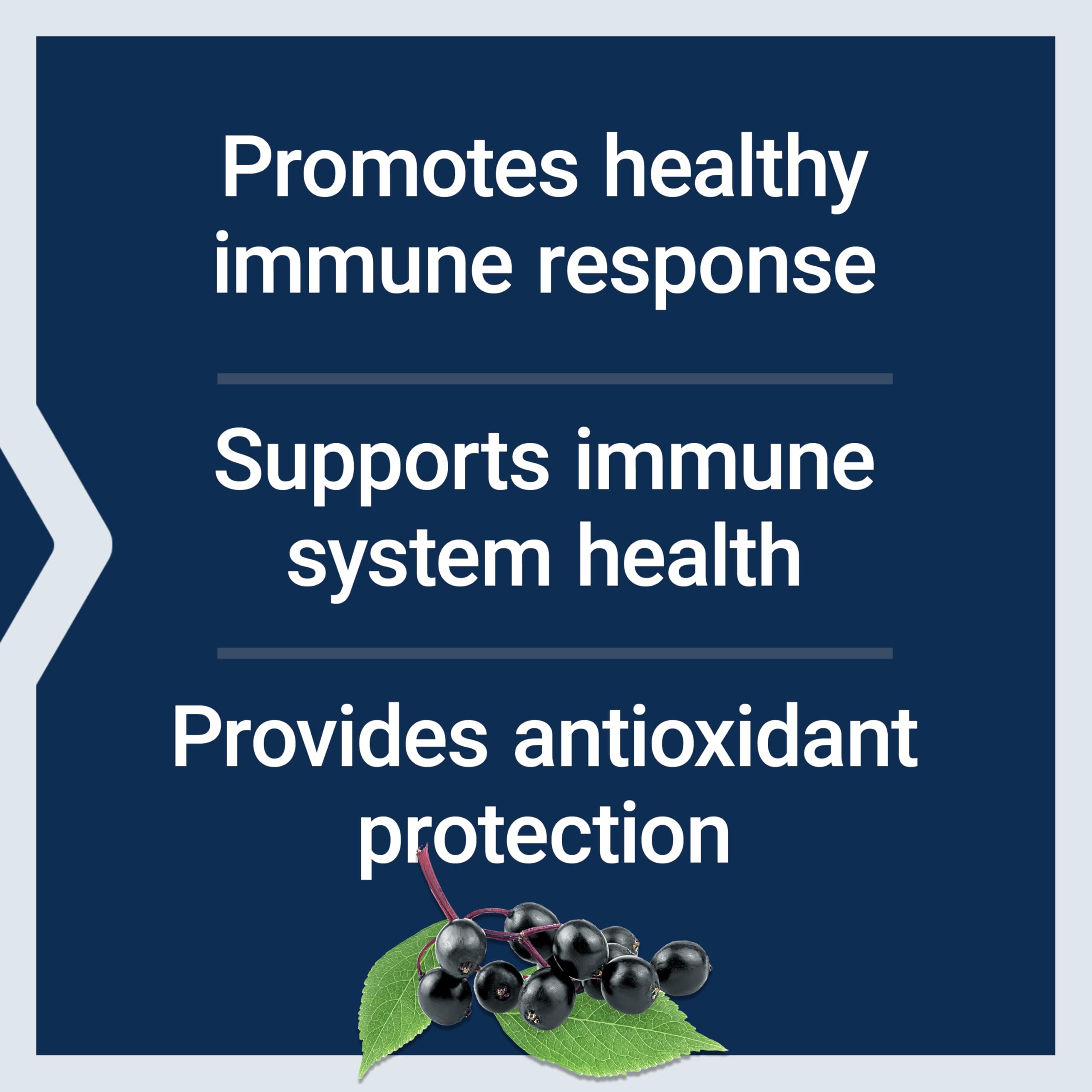 Illustration highlighting elderberry anthocyanins as antioxidants