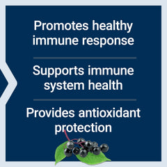 Illustration highlighting elderberry anthocyanins as antioxidants