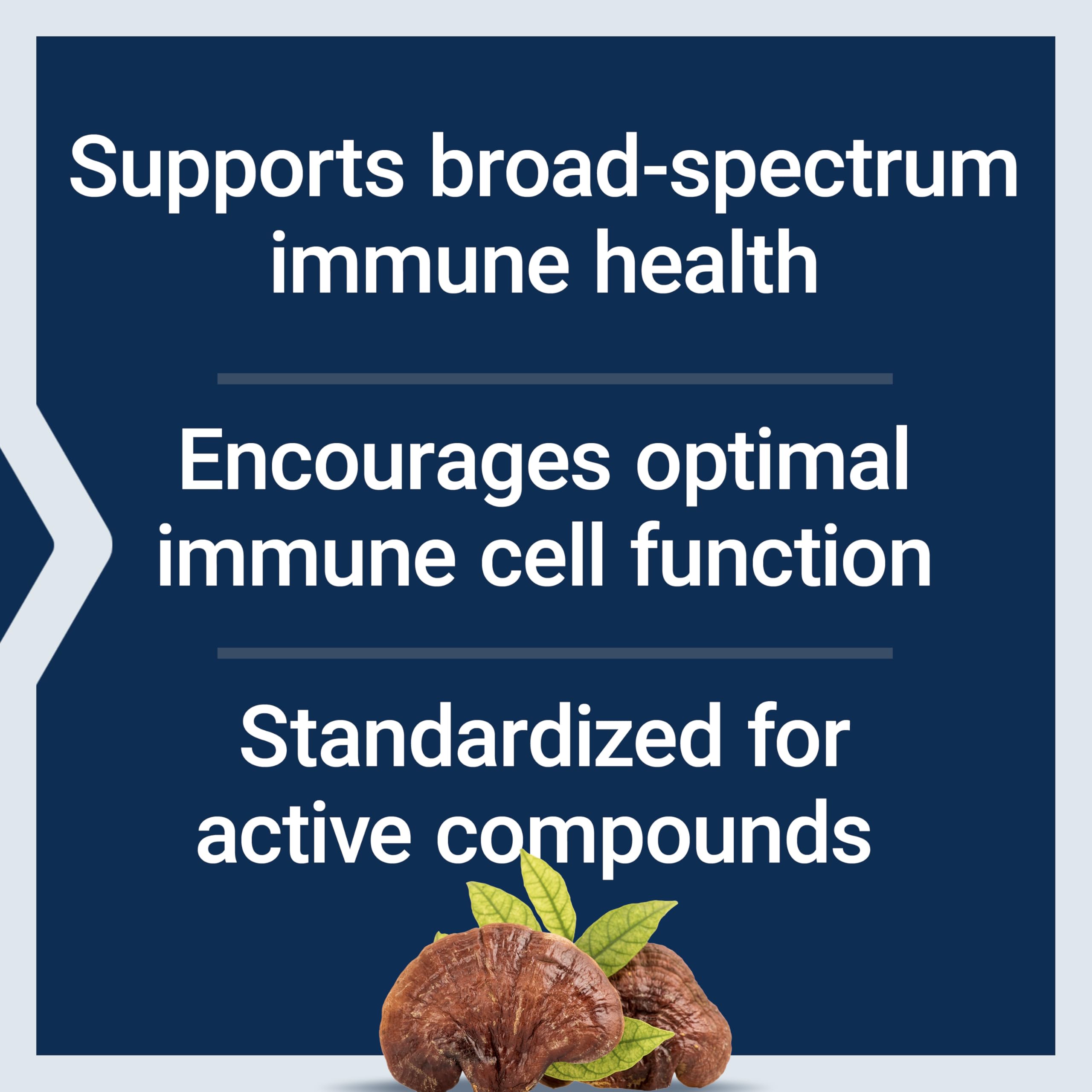 Immune support benefits of reishi mushroom illustration