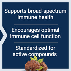 Immune support benefits of reishi mushroom illustration