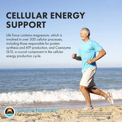 Graphic highlighting energy and immune support benefits