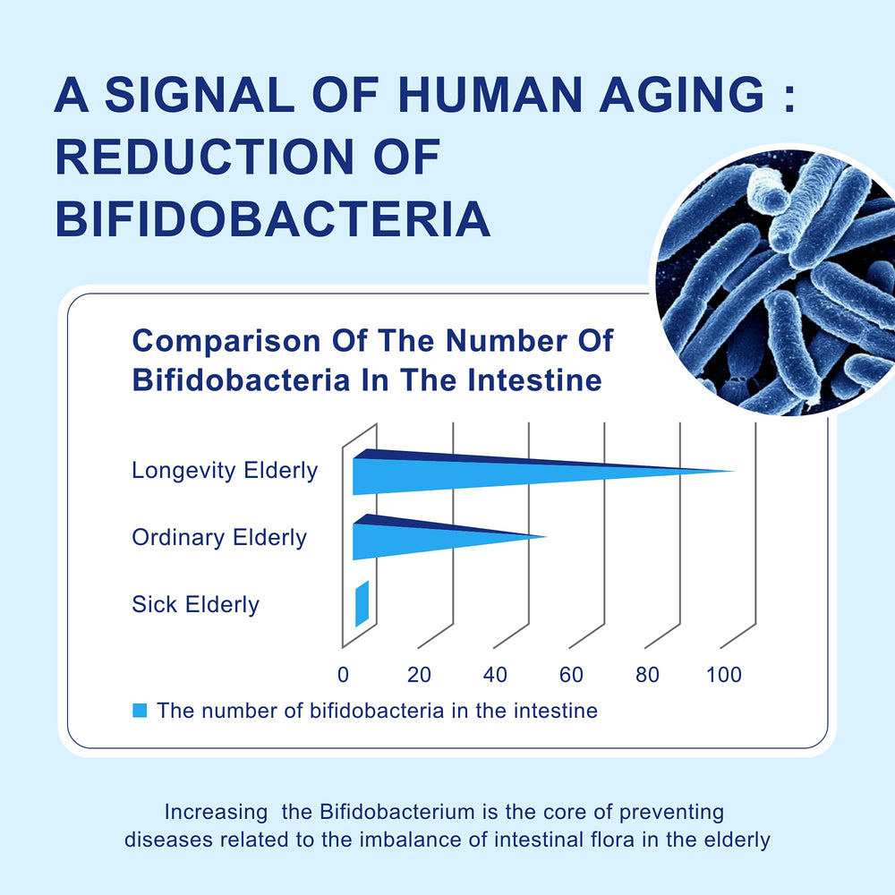 Multi-strain probiotic blend for seniors