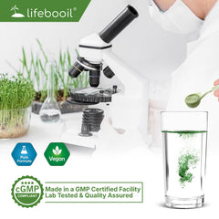 Measuring spoon scooping Lifebooil chlorophyll powder