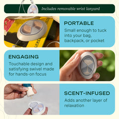 Crisp Mountain Air essential oil blend bottle for Lifelines set