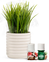 Lifelines plant diffuser bundle - front view with faux plant