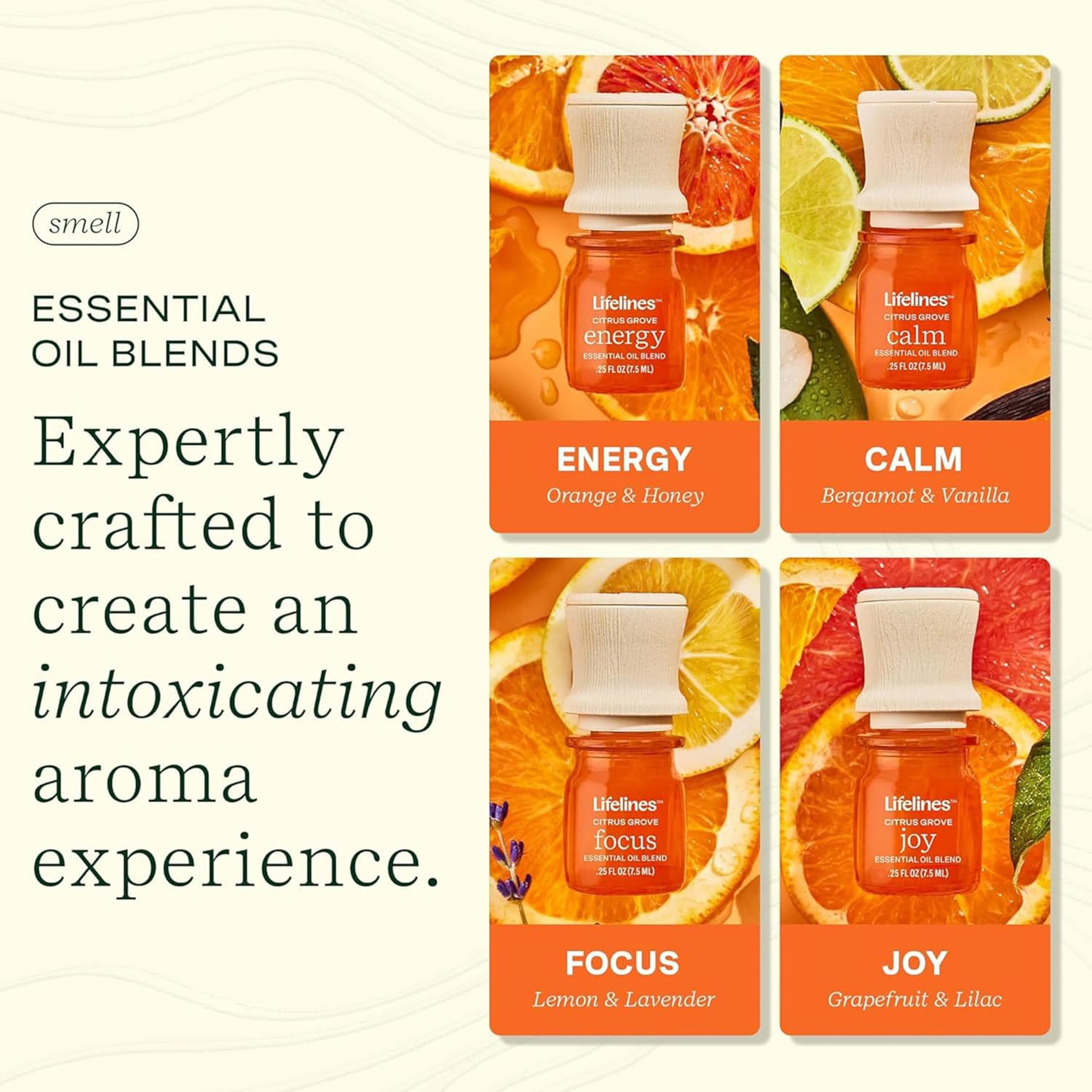 Focus blend essential oil from Lifelines Citrus Grove 4-pack