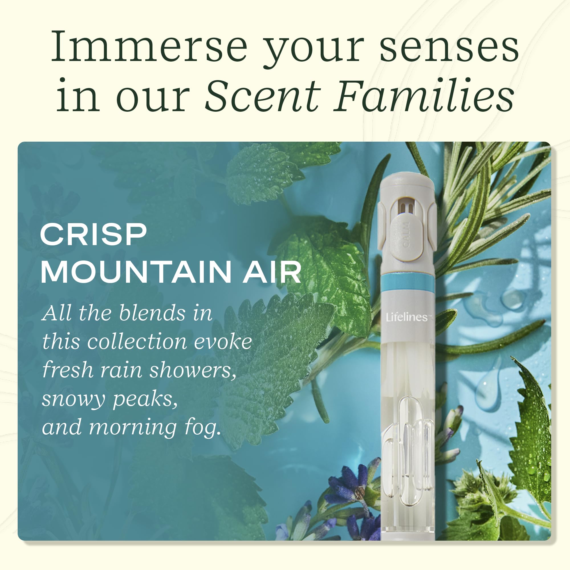 Essential oil blend aromas used in Lifelines Pen Diffuser.