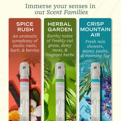 Arrangement of essential oil blends: Herbal Garden, Crisp Mountain Air, Spice Rush