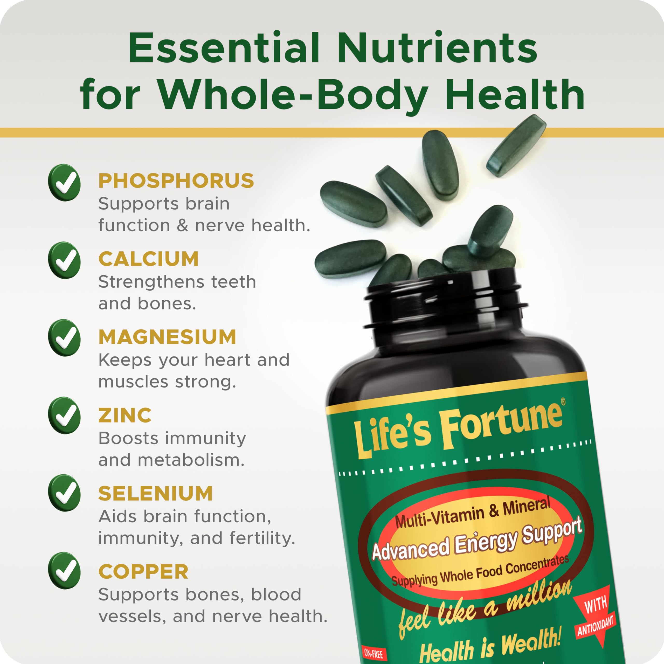 Illustration of whole-food concentrates, enzymes, and probiotics
